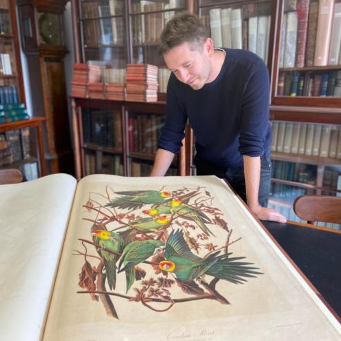 Exhibition project manager Adam Bayfield studies The Birds of America