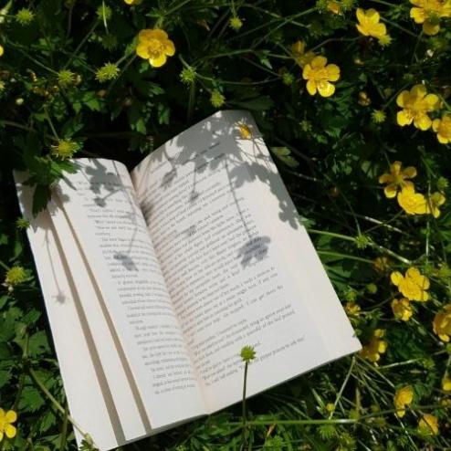 6 Books to Put a Spring in Your Step