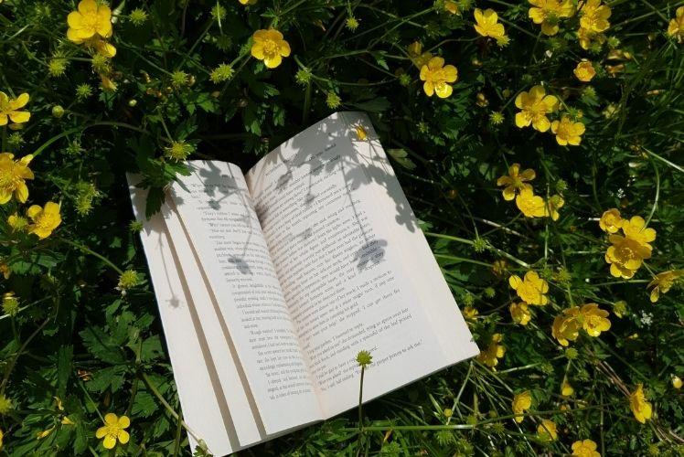 6 Books to Put a Spring in Your Step