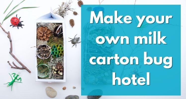 Make a bug hotel