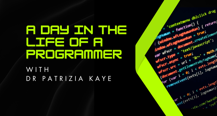 A Day in the Life of a Programmer