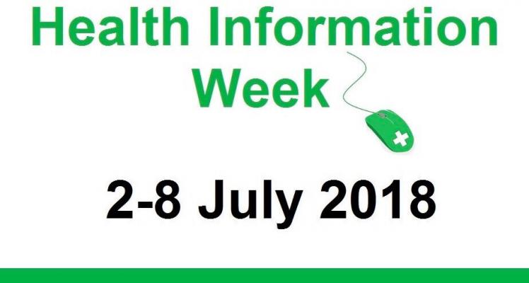 Searching for Health Information on the Internet