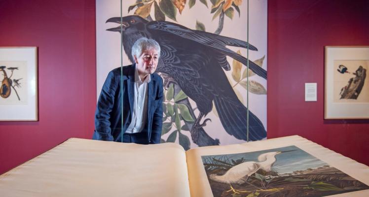 Mark Glancy studying The Birds of America