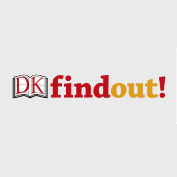 DKfindout!