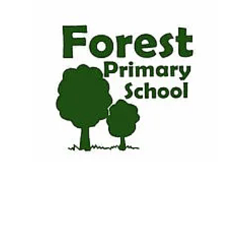 Forest Primary