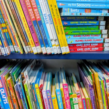 Curriculum Project Loans