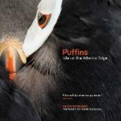 Puffins: Life on the Atlantic Edge