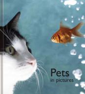 Pets in Pictures