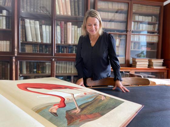 Chief Librarian Cornelia James studies The Birds of America