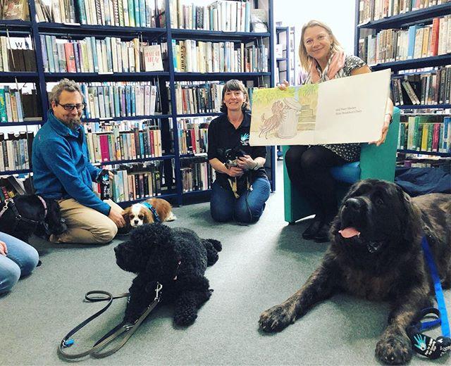 Schnitzel von Krumm with a very low tum, Bitzer Maloney all skinny and bony, Muffin McLay like a bundle of hay, Bottomley Potts covered in spots, Hercules Morse as big as a horse...and Hairy Maclary from Donaldsons Dairy...Its story time for dogs at the Library this morning! Weve been loving a visit from charity Paws for Support, who use their highly trained therapy and assistance dogs to improve peoples lives in Guernsey. You can find out more about what they do at www.pawsforsupport.co.uk#dogs #therapydog #guernsey #storytime